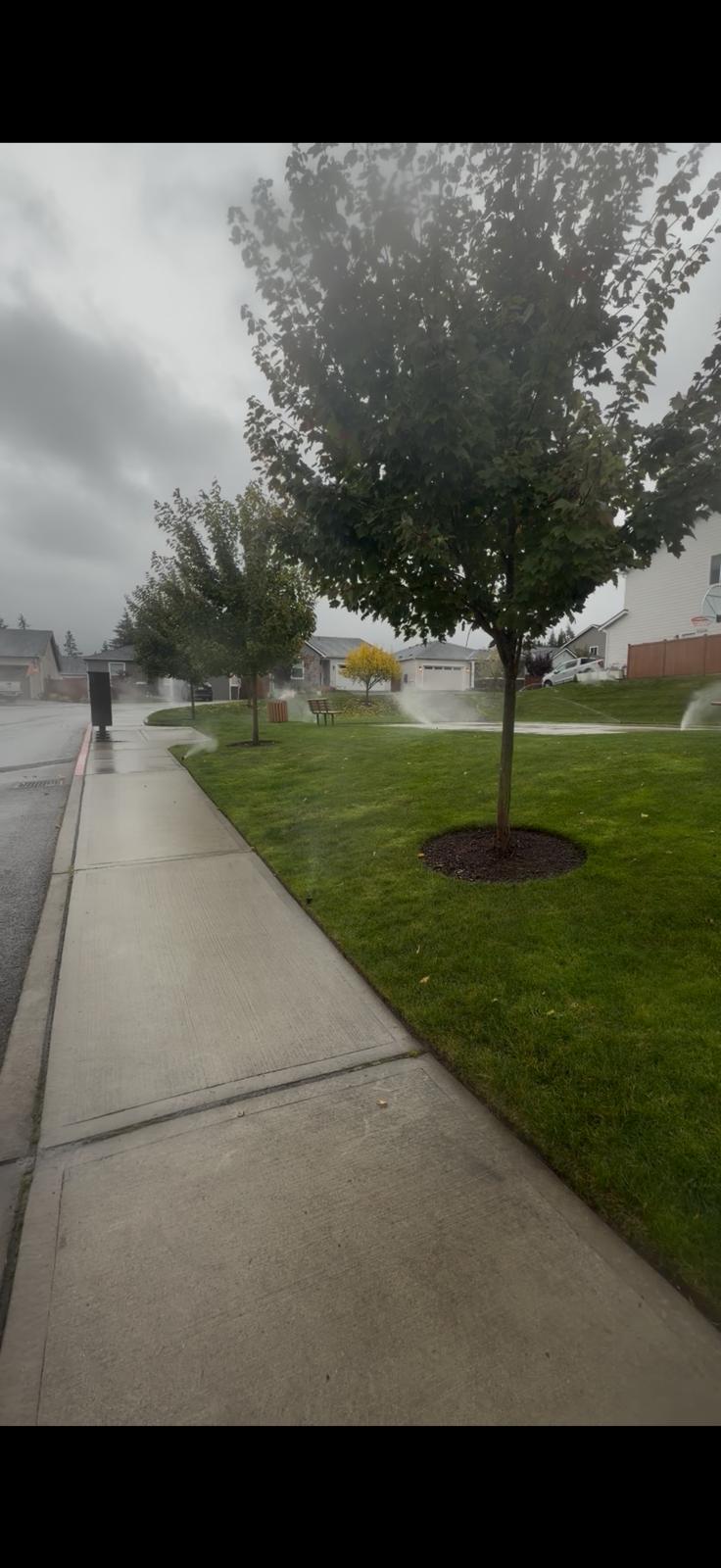 Mulch and gravel area