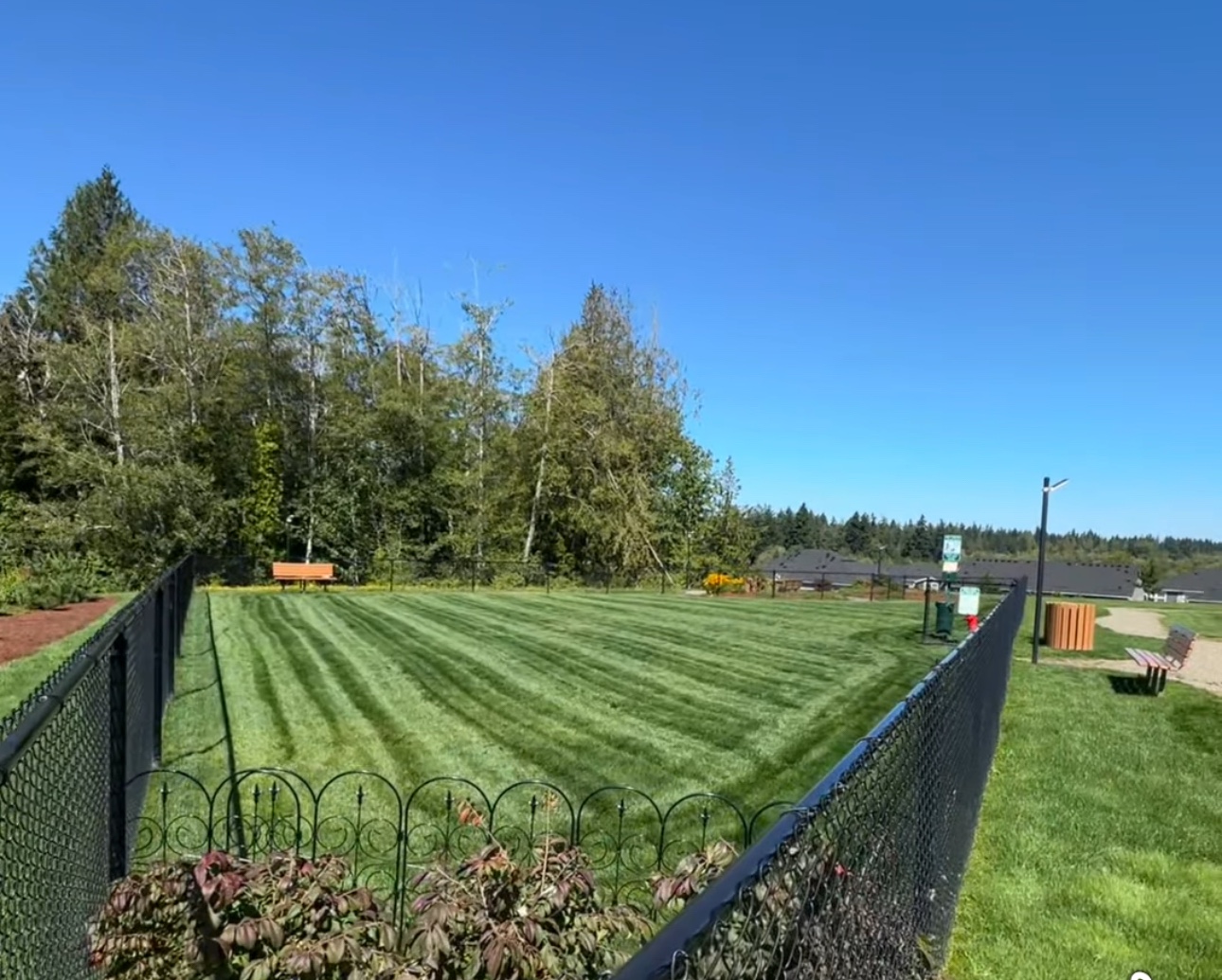 Striped lawn maintenance
